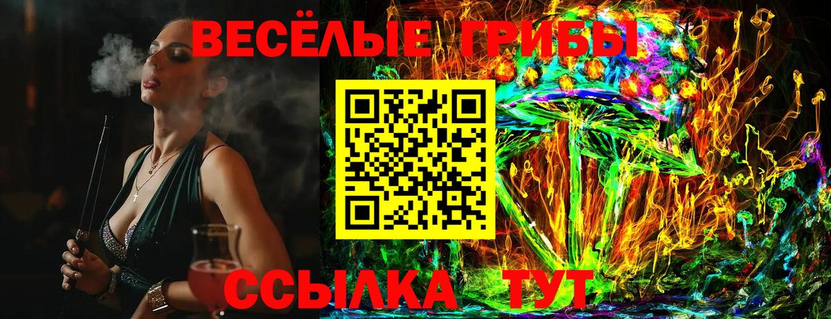 Псилоцибиновые грибы мицелий Заволжье