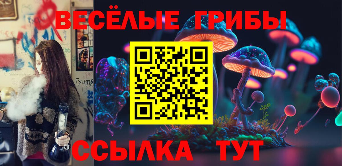Заволжье  купить закладку  Вход с VPN  Псилоцибиновые грибы Magic Shrooms 